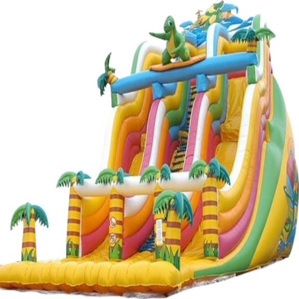 Giant Inflatable Water Slide