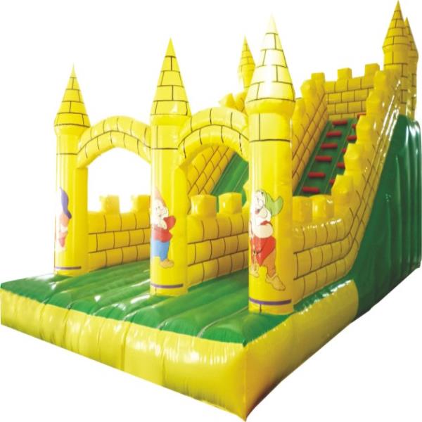 Inflatable Jumping Bouncer